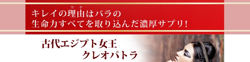 �o���v���Z���^���T�C�g